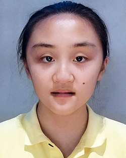 FAN Lingwen